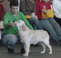 Kortrijk 2006